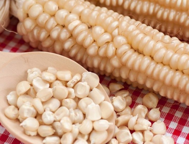 cómo nixtamalizar en casa gourmet de méxico tips cómo nixtamalizar en casa gourmet de méxico tips