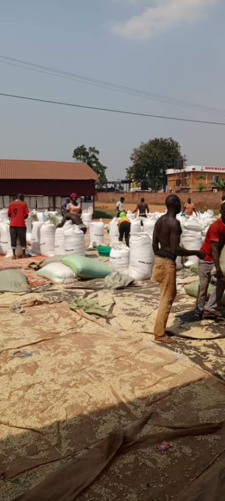 Home img 20240217 wa0130