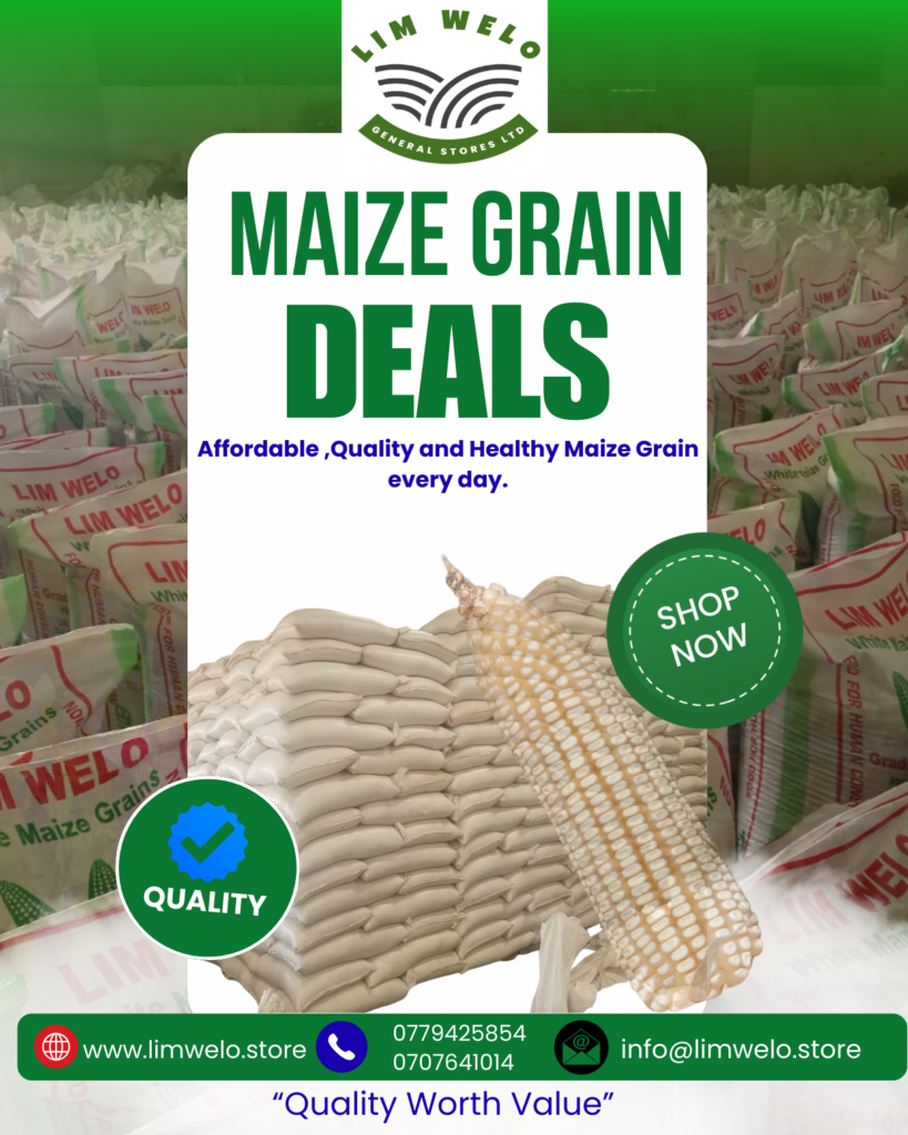 Limwelo Stores 2026 Maize Grain Deals limwelo store promotion instagram post